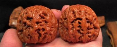 核桃尖摔掉了怎么办