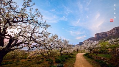 临沂传统村落:平邑县地方镇九间棚