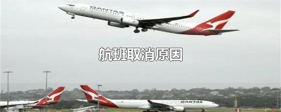​航班取消原因