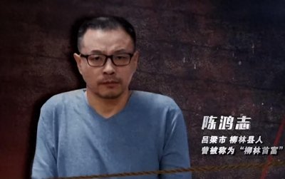 山西“土皇帝”陈鸿志:名下341处房产超50亿,黄河边建豪华庄园