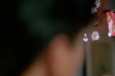 ​成奎安有几个孩子