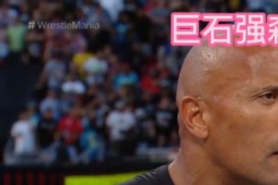 ​巨石强森wwe在几期出现过