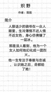 ​强烈推荐一波卧底文，超级带感《炽野》《他的荣光》《风月》