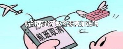​航班取消了改签需要加钱吗