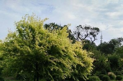 ​四平公园有哪些玩的地方