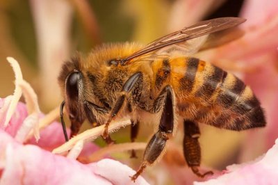 ​女子露营竟休克进ICU！医生：近期高发，一个月接诊15例
