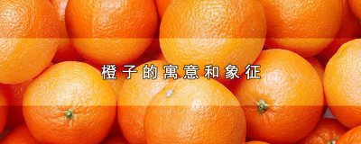 ​橙子的寓意和象征