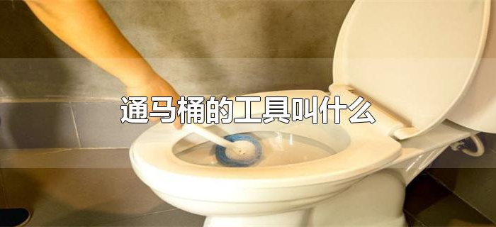 通马桶的工具叫什么 通马桶的工具叫什么