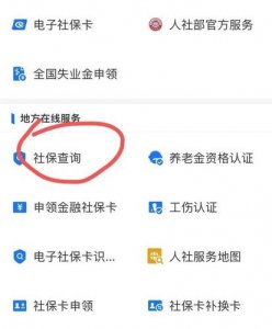 ​郑州社保个人账户查询打印：郑州社保查询个人账户查询入口