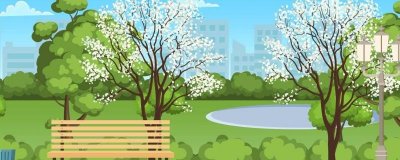 ​广玉兰为什么是合肥市花