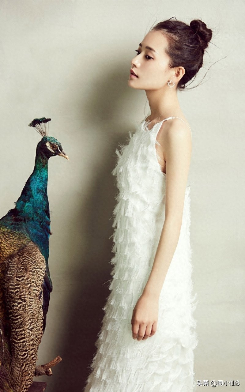 柴碧云,娱乐圈影视女演员,是具有潜力的女明星