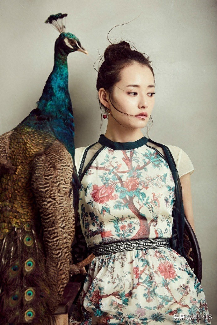 柴碧云,娱乐圈影视女演员,是具有潜力的女明星