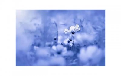 ​女生私处的“小豆豆”到底长什么样