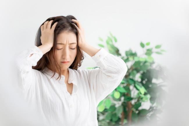 合租房的邻居晚上太吵怎么办(租房隔壁情侣晚上太吵怎么办)(图3) 合租房的邻居晚上太吵怎么办(租房隔壁情侣晚上太吵怎么办)(图3)