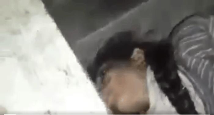 叙利亚化武袭击视频更多疑点曝光,尸体成“道具”被任意摆拍