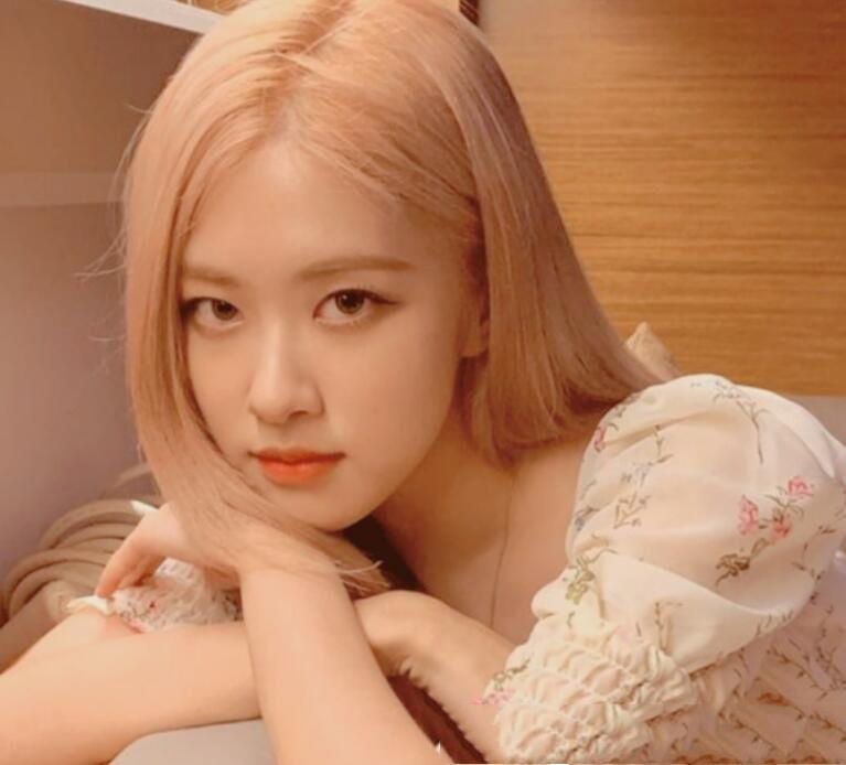 blackpink成员详细介绍(韩国女团blackpink的成员都有谁)(3)_