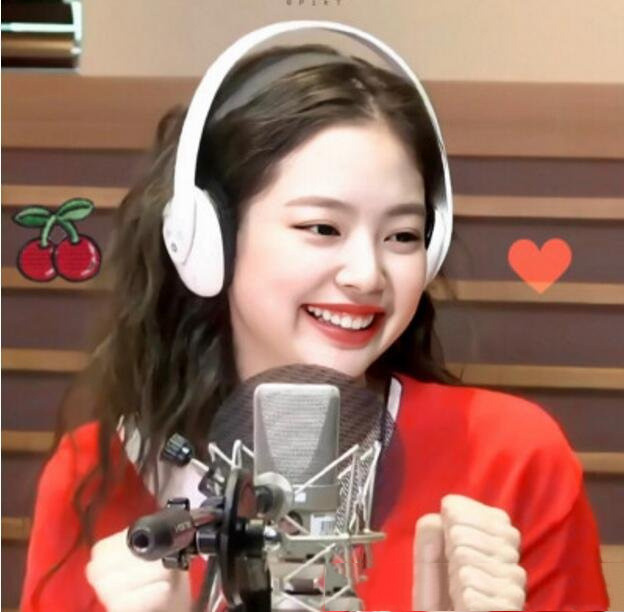 blackpink成员详细介绍(韩国女团blackpink的成员都有谁)(2)_