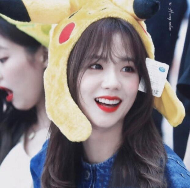 blackpink成员详细介绍(韩国女团blackpink的成员都有谁)(1)_