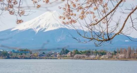 富士山不归属日本政府？每年要交“天价”租金，还可能被对方收回