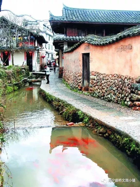 大自然天然氧吧人间仙境(大美集于一身天然大氧吧)(14)