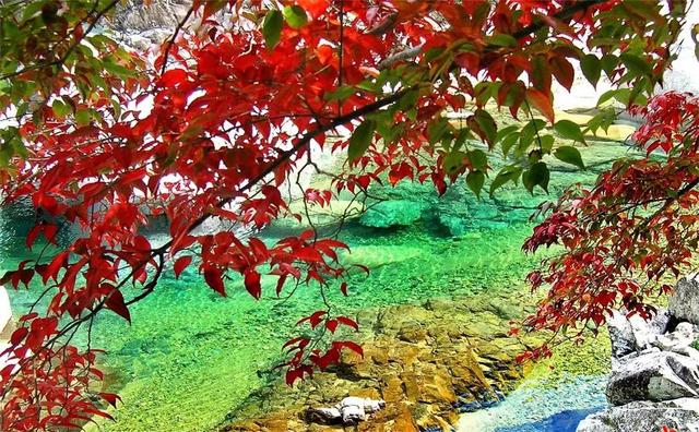 大自然天然氧吧人间仙境(大美集于一身天然大氧吧)(7)