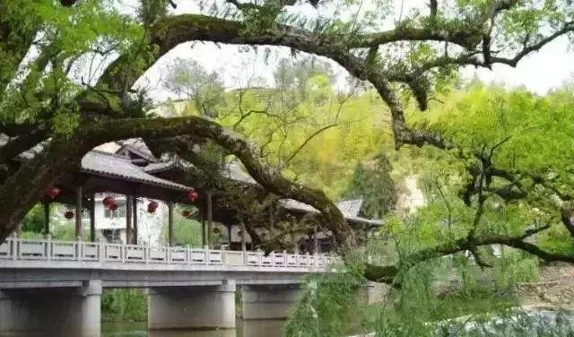 大自然天然氧吧人间仙境(大美集于一身天然大氧吧)(11)