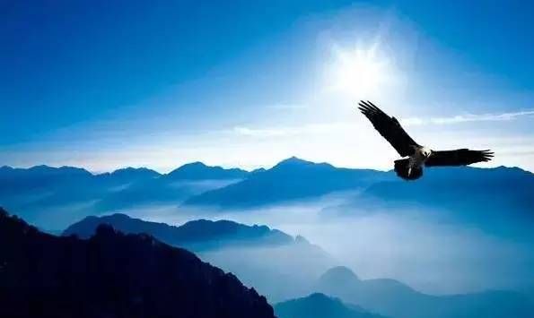 放大了格局的前一句是