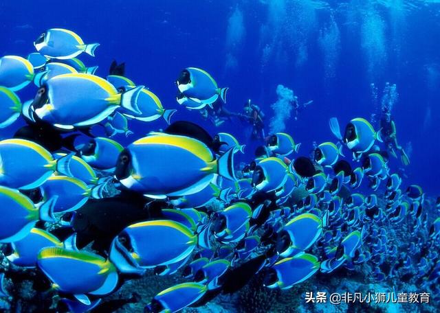 儿童节带孩子去这些地方畅玩吧（这十个适合带孩子去的亲子场所）(11)