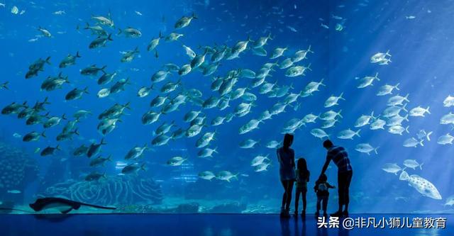 儿童节带孩子去这些地方畅玩吧（这十个适合带孩子去的亲子场所）(5)