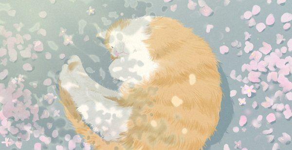 拍一拍设置好玩的文字有哪些,拍一拍有趣后缀文字怎么设置图11