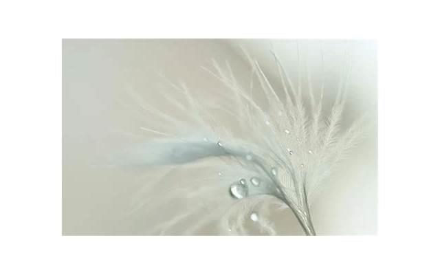 男人为什么忘不了前女友 男人忘不了一个女人说明什么