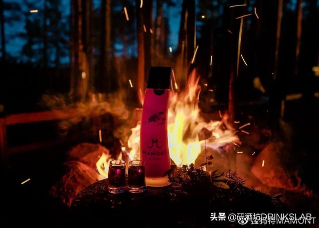 伏特加的正确饮用方法（解锁日常饮用伏特加的正确姿势）(4)