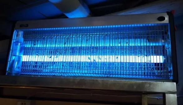 生活灭蚊灯灭蚊效果怎么样（灭蚊灯紫外线对人体有害吗）  3