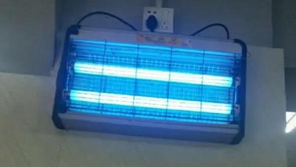 生活灭蚊灯灭蚊效果怎么样（灭蚊灯紫外线对人体有害吗）  2