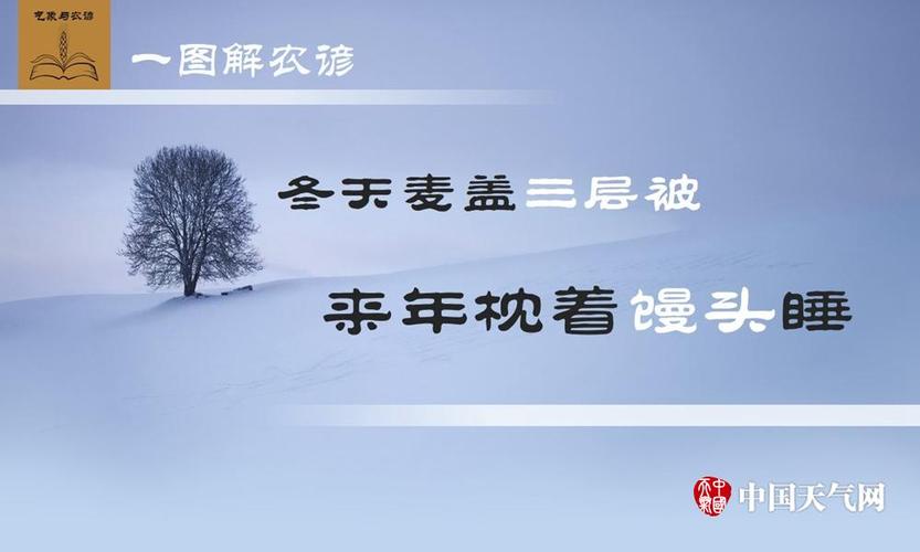 农谚说冬天麦盖三层被指的是什么（今冬麦盖三层被）