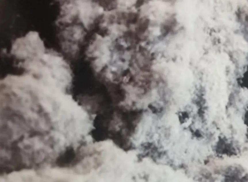 道路养护材料—木质素纤维