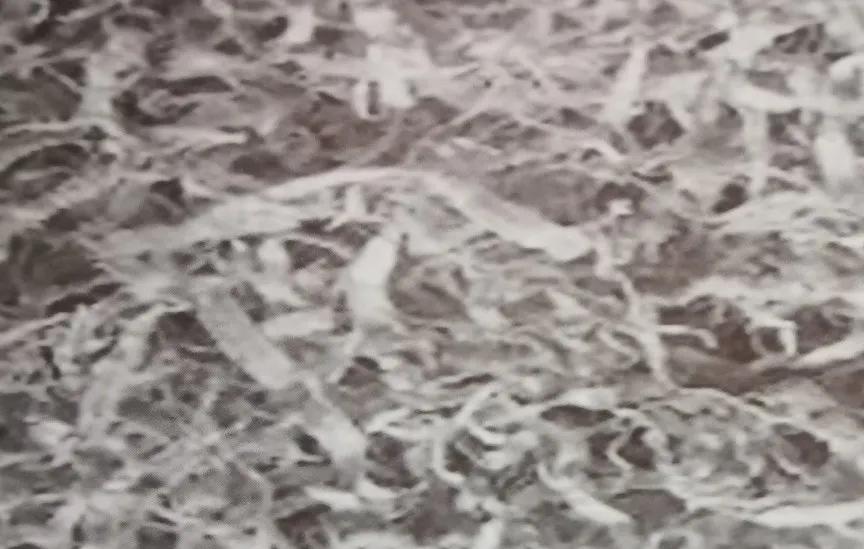 道路养护材料—木质素纤维