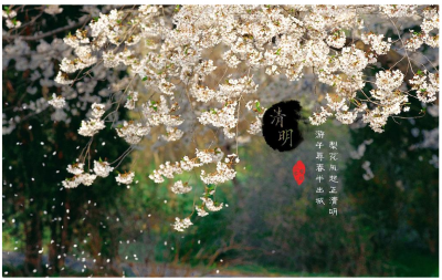 ​坟头上插花有什么说法 坟头上插花有什么说法