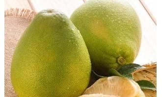 文旦的花朵是什么样子