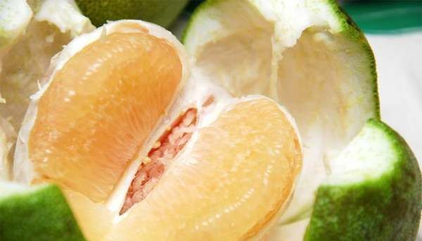 文旦是什么中药,蜜柚和文旦的不同点是什么图7