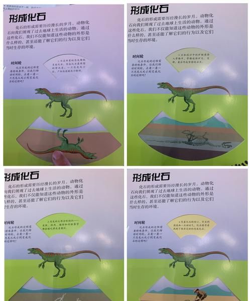 化石是怎么形成的