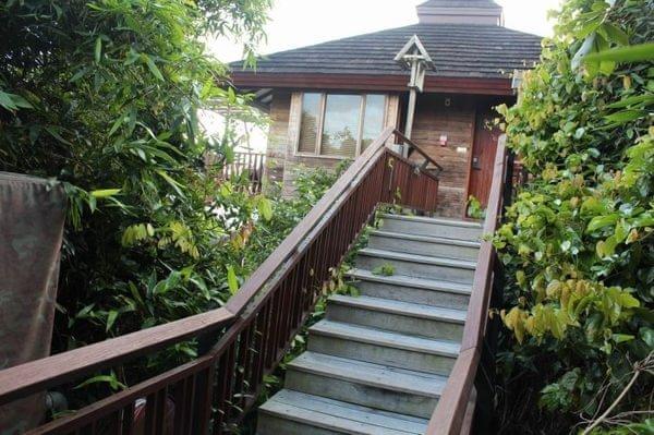 亚龙湾最好的度假村（亚龙湾鸟巢的浪漫入住体验）(13)