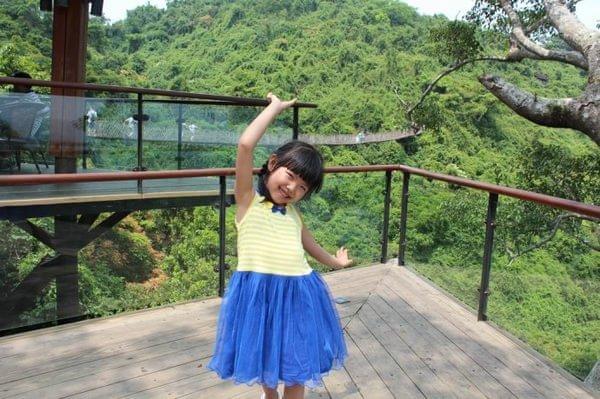 亚龙湾最好的度假村（亚龙湾鸟巢的浪漫入住体验）(6)