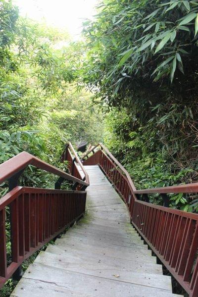 亚龙湾最好的度假村（亚龙湾鸟巢的浪漫入住体验）(11)