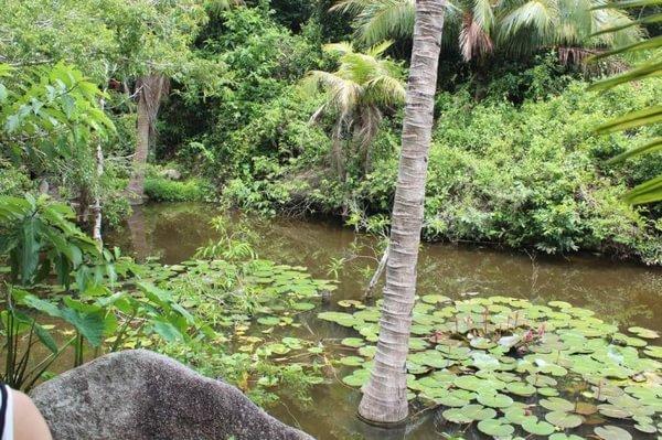 亚龙湾最好的度假村（亚龙湾鸟巢的浪漫入住体验）(9)