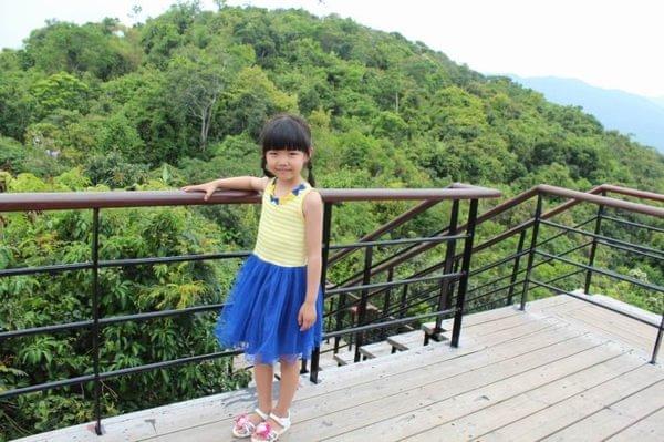 亚龙湾最好的度假村（亚龙湾鸟巢的浪漫入住体验）(10)