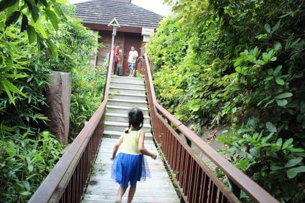 亚龙湾最好的度假村（亚龙湾鸟巢的浪漫入住体验）(18)