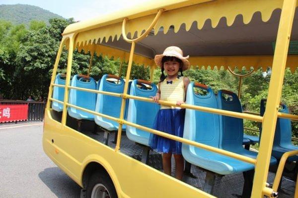 亚龙湾最好的度假村（亚龙湾鸟巢的浪漫入住体验）(2)