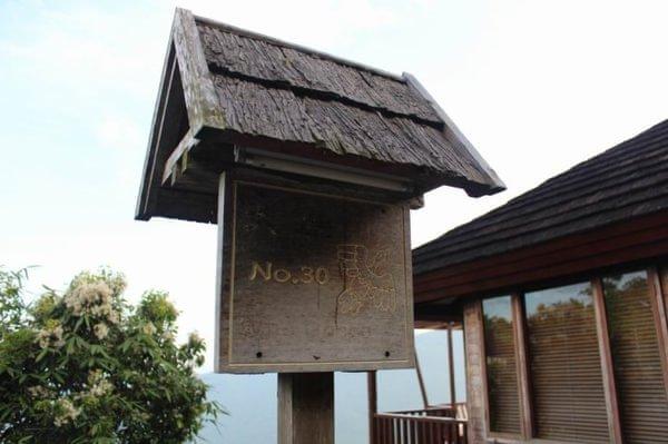 亚龙湾最好的度假村（亚龙湾鸟巢的浪漫入住体验）(15)