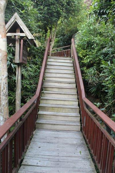 亚龙湾最好的度假村（亚龙湾鸟巢的浪漫入住体验）(12)